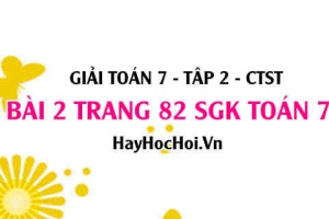 Giải bài 2 trang 82 Toán 7 tập 2 SGK Chân trời sáng tạo